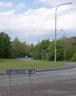 A Birchwood Way street sign