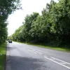 Beyond, we're back on the embankment again and deep in some planned wilderness. There is space to the right for another carriageway but today it would require some tree-felling. Note also the centre line hatching - it's all the way along the single carriageway sections to discourage overtaking on what should be a fast road.