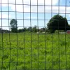 A look through the gate over the road and here's the reserved land for Birchwood Way to continue west, through Orford Park and to the New Town district of Westbrook. It is still protected against development in case the plan gets resurrected.